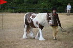 WJ6_7897