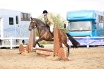 SBM_03559