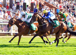 240726-Race 7-Sunlit Sea-01963