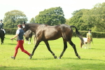 SBM_66567