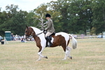 WJ7_4977