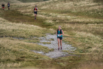 Sedbergh Hills-597