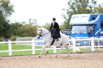 SBM_03426