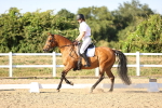 SBM_007784