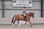 JAC_1255