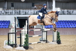 Class 11 - Senior Foxhunter 1.20m portfolio