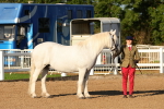 SBM_08005