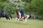 WJ6_1252