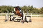 SBM_003102