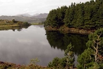 Llyn Glangors 2