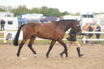 SBM_07886