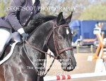 BPP_3621