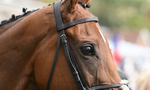 220826-180 Mr Hollywood