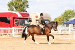 SBM_15488