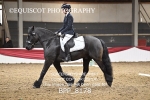 BPP_8178