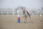 SBM_000982