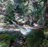 Sanctuary, Garwin Falls- detail