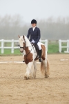 SBM_000865