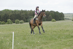 BVHT 140517  NXC -441