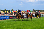 280726-Race 1-Alazwar-9591