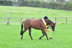 SBM_64964