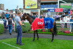080925-Race 4-Zain Blue-9150