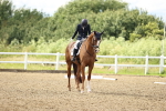 SBM_002188