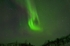 "Northern Lights"