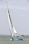 170507 BLUE DOLPHIN - SOUTHERLY 420 1Y3A8856_Edit