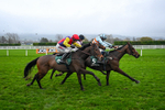 151125-Race 6-Jurancon-4172