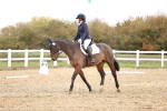 SBM_000640