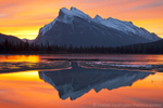 Rundle Reflections