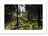 Clearances ♦ LOCH ARD FOREST