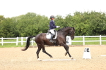 SBM_001950