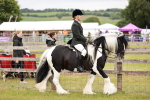 SBM_06084