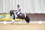 SBM_003261