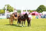 SBM_06665
