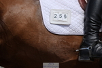 240816A-141303-05351
