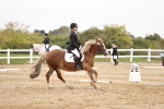 SBM_002756