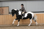 Sunday 14th Ridden portfolio