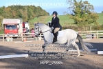 BPP_7985