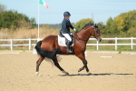 SBM_001538