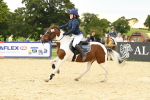 J16 - Junior Pony 75cm Championship portfolio