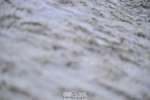 260207A-163453-01237