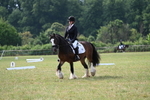 WJ7_1517