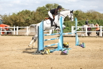SBM_001198