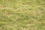 SBM_09626
