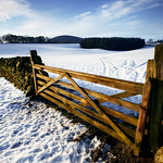 Borders View