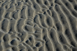 Beachscapes portfolio