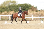 SBM_010832
